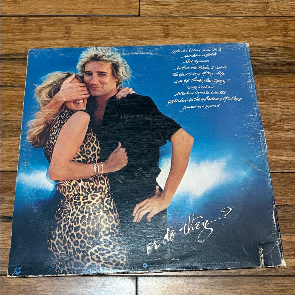 Rod Stewart  Blondes Have More Fun LP Vinyl Record (1978, Warner Bros. BSK 3261) - Picture 2 of 6